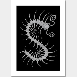 Silver Centipede Posters and Art